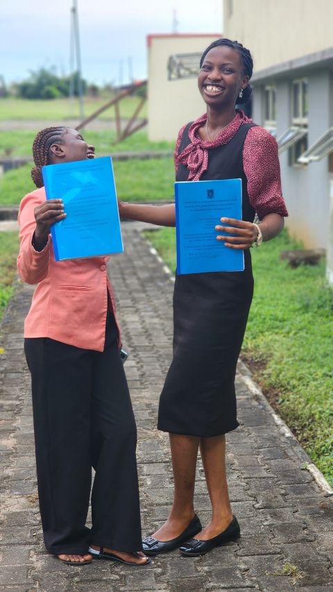 BSc Thesis Presentation